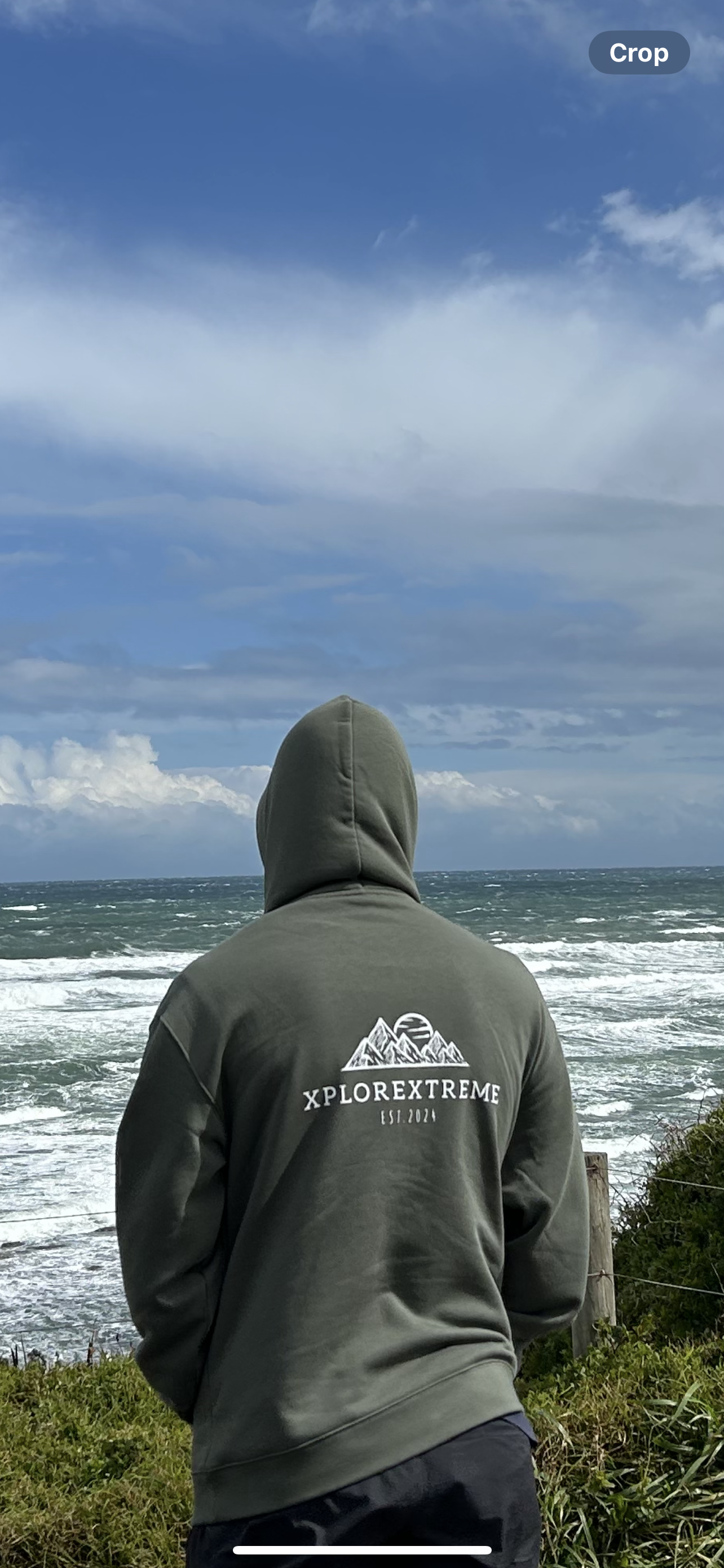 Foundation Hoodie- Cypress